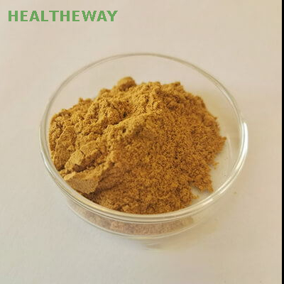 مسحوق مستخلص Ginkgo Biloba