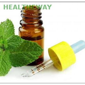 Mentha Arvensis Oil