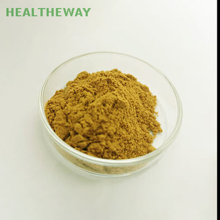 Echinacea Herb P.E